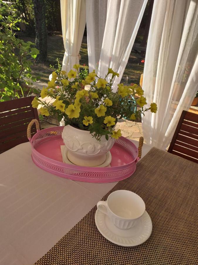 La Mansardiere Bed & Breakfast Villecroze Dış mekan fotoğraf